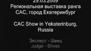 29.03.2009 Региональная выставка ранга САС, город Екатеринбу