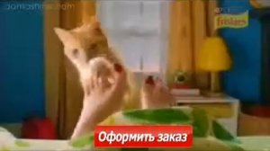 Идеальный корм для кошек Friskies