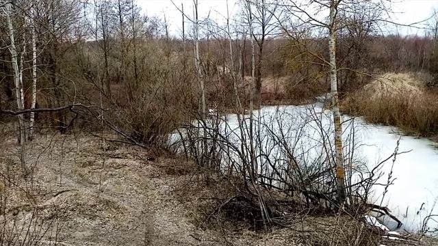 Озеро ПМС, Гомельский район, Гомельская область.Lake PMS, Gomel District, Gomel Region.