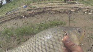 Закормили точку и САЗАН ПОПЁР! РЫБАЛКА на жмых в Астраханской области!