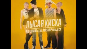 NOFORMAT ft. MASHUP - Лысая киска