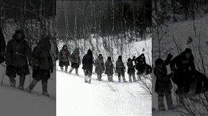 Отчёт Бардина и Шулешко. Перевал Дятлова .