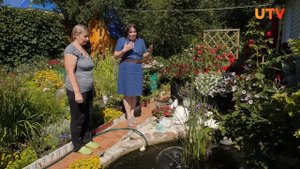 Идея зонирования небольшого вытянутого участка