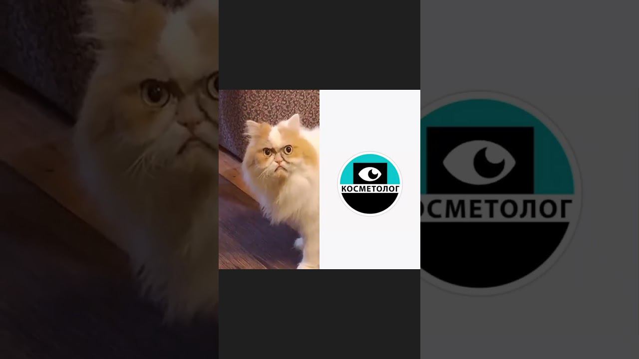 Подпишись и вдохновляйся. А какие REELS вас радуют? смотреть онлайн