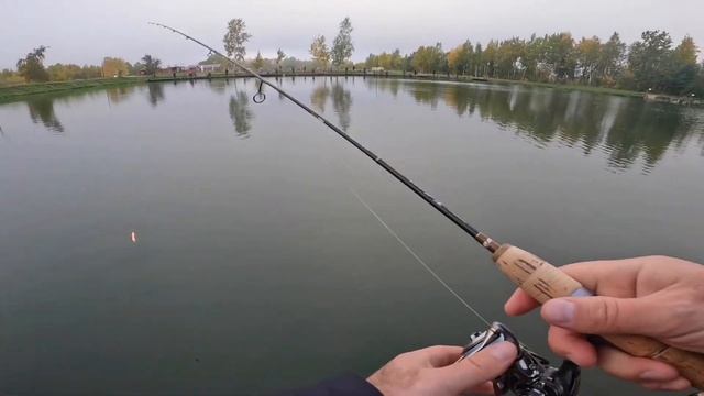 Ловля форели на воблера. Дуэль Больбит VS Лебедев. смотреть онлайн