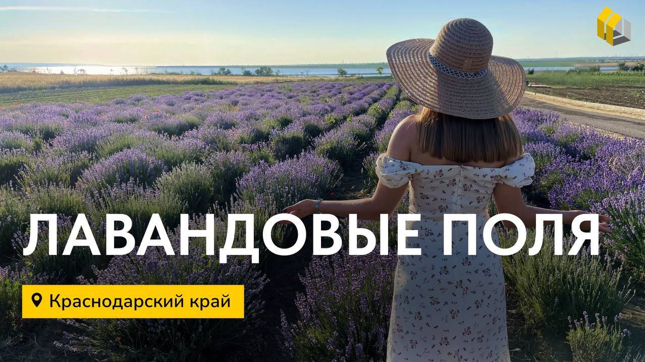 Лавандовые поля в Краснодарском Крае | Обзор на сыроварню | Стройбакс | Мечта близко | Дом у моря