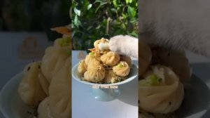 One-Year Collection?: Cat-Chef Makes Beautiful And Fragrant Food|Cat Cooking Food|Cute And Funny Ca