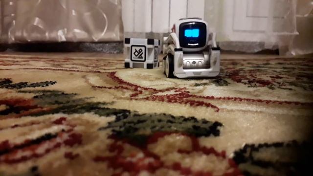 Играю с козмо часть2