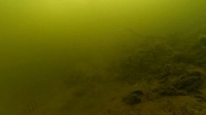 Подводные съёмки на зимней рыбалке на экшн камеру.