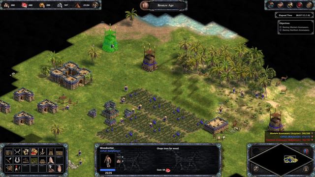 Age of Empires Definitive Edition Lord of the Euphrates (another holy man mission...) смотреть онлайн