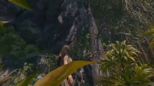 Прохождение Shadow of the Tomb Raider - Жесткая посадка: Найти Кувак-Яку. Исследовать гробницу #6
