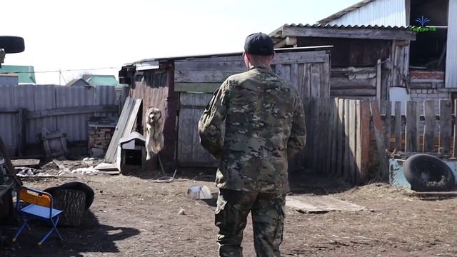 Пёс встретил вернувшегося с СВО российского военнослужащего, нарушив все законы гравитации