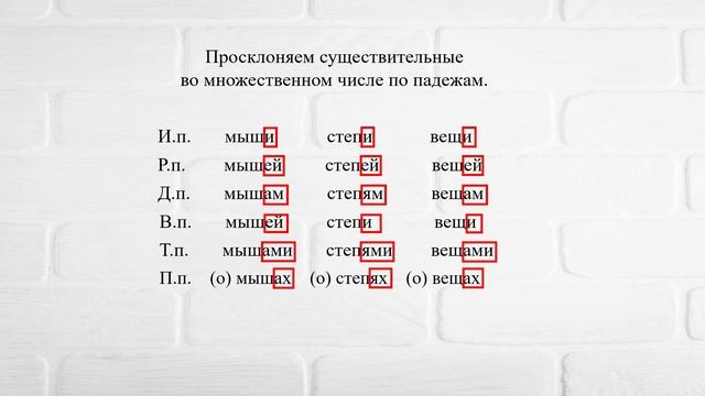 Склонение имён существительных во множественном числе. Учим русский язык.
