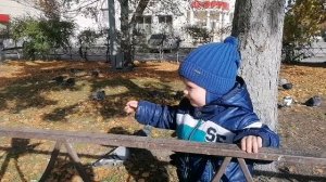 ТИМУР и ГОЛУБИ ?