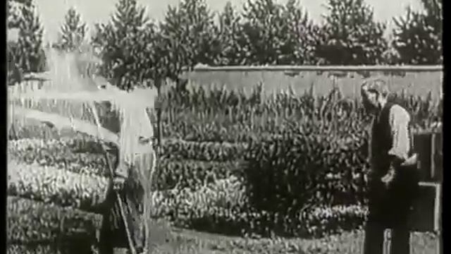 Политый поливальщик смотреть онлайн