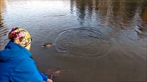Силикон, силикон и вновь форелевые приманки на видео. Спорт зона, ловля крупной форели. Клёвое мест