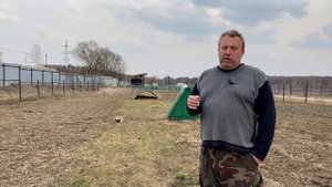 РАЗВЕДЕНИЕ СВИНЕЙ В ВОЛЬЕРЕ