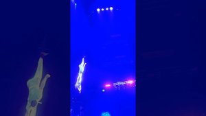 Мы в цирке. Я.Запашный. 14.04.2024