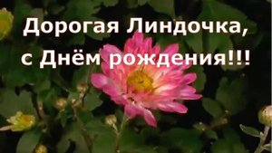 С Днём рождения, Линдочка!!!.mp4
