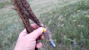 Приспособа для поиска.