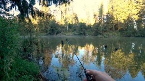 Мормышинг. NeoLine 592EEXUL 0-1,2гр.