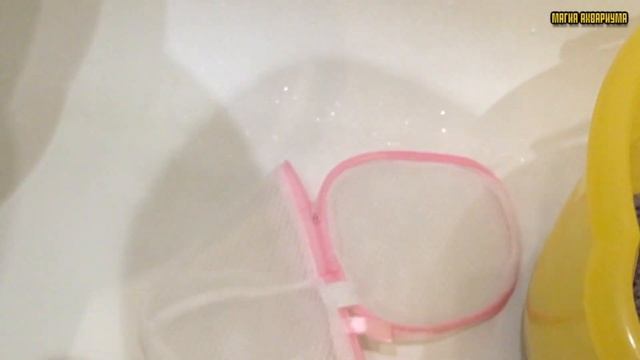 Лава в аквариуме | Грунт для аквариума | Подложка в аквариуме смотреть онлайн