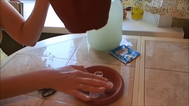 Как приготовить подкормку для растений. Подкормка для растений из дрожжей.