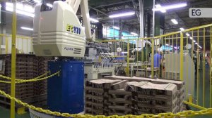 Линия укладки бумажных мешков на поддоны ES-2400