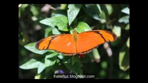 Mantra: Chattr Chakkr Vartee (Nirinjan Kaur)