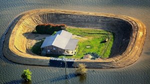 Соседи Называли его Сумасшедшим, но в итоге он Посмеялся Последним