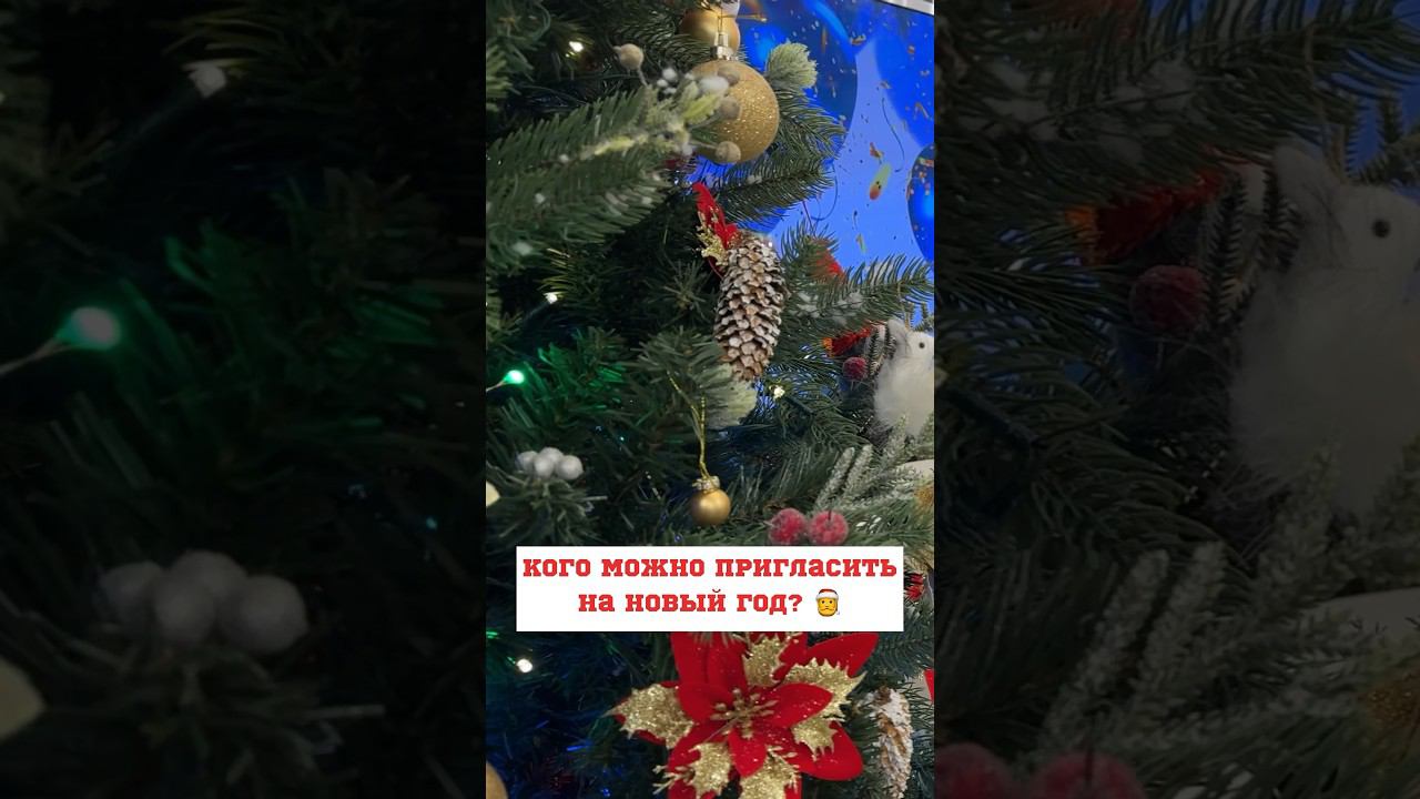 С КЕМ НУЖНО ОТМЕЧАТЬ НОВЫЙ ГОД  #дедмороз  #сантаклаус #гринч #белыймедведь