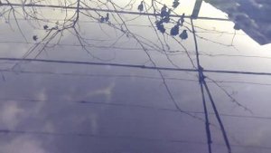 Херсонская область. Последствия кислотного дождя