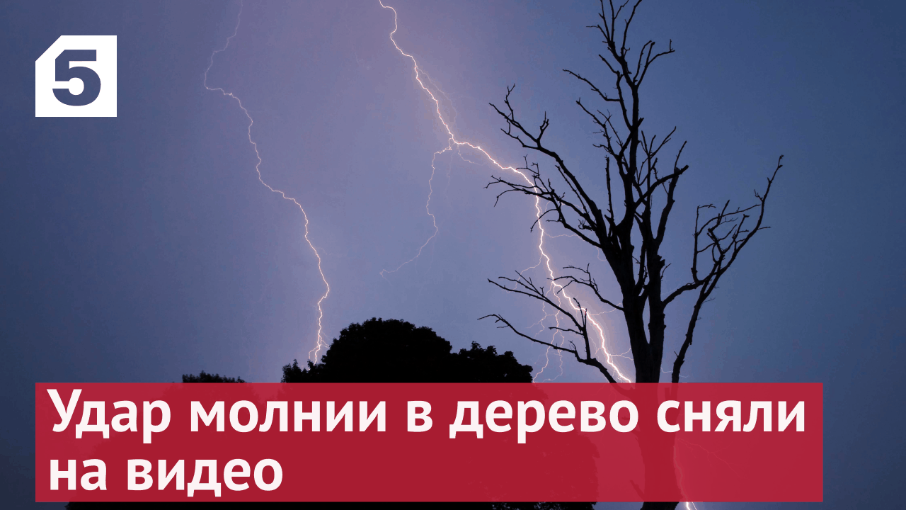 Точное попадание молнии в дерево запечатлели на видео