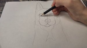 Как нарисовать собаку? | Обучалка