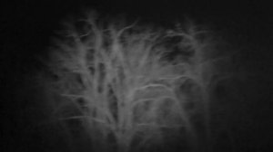 Тестирование цифрового бинокля с режимом ночного видения