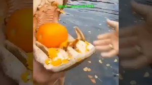 Бегемот ест тыкву