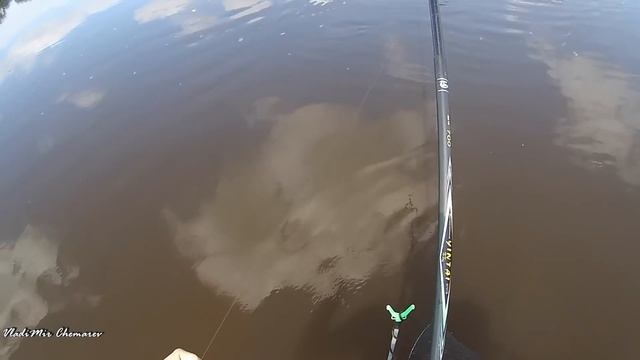 Отличный клев Язя, подъязка, плотвы.Рыбалка на р. Чаус. Шикарная погода!!! смотреть онлайн