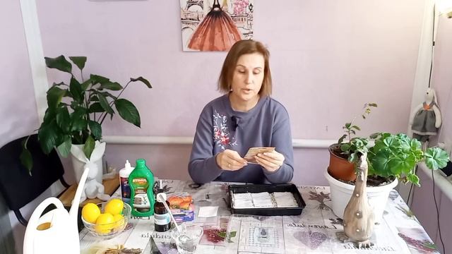 ПОМІДОРИ ДЛЯ ТЕПЛИЦІ🍅Перець🫑Баклажани🍆РЯСНО ЗІЙШЛИ!#помідоридлятеплиці#розсадаперцю#розсадабаклажан