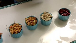 Посадка лука на зиму: лучшие озимые сорта лука для посадки на зиму, которые я высаживаю в октябре