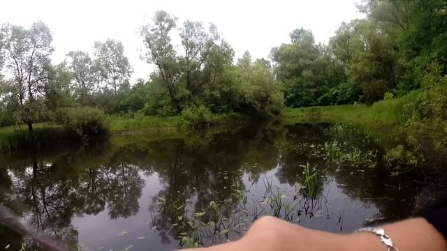 Favorite Drive: кастинговая ловля мелкой щуки твичингом на жабовнике смотреть онлайн