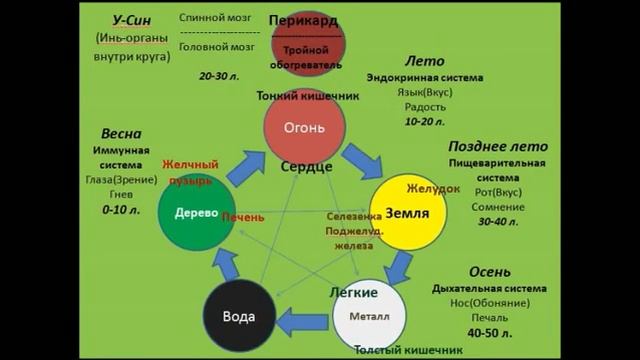 5 элементов у син рисунок