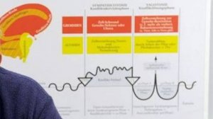 Новая психосоматика. Истинные причины болезней. Видео психолога Ольги Ткачевой.