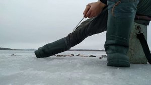 Ловля окуня, на мармышку с подсаткой силикона