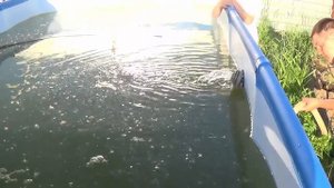 Как в БАССЕЙНЕ из БОЛОТА сделать ЧИСТУЮ ВОДУ при помощи ПЕРЕКИСИ ВОДОРОДА