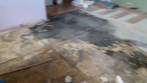 Плесень под ламинатом