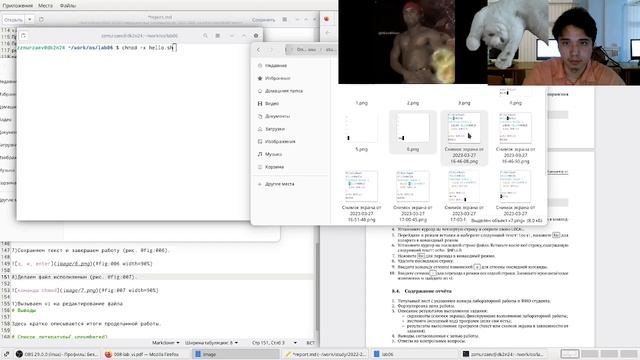 Лабораторная работа 8. Отчет. смотреть онлайн