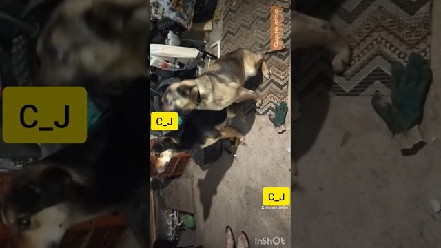 изо рта кусочек