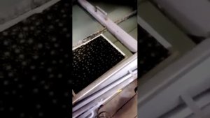 аквапринт панелей салона чайзер 100-ый кузов