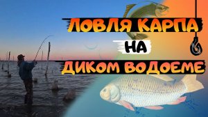 Ловля КАРПА на диком водоеме на фидер. Как выбрать место для удачной рыбалке. Рыбалка с ночевкой.