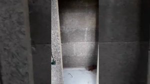 Велокс из щепоцементной плиты.
